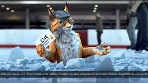 Offre Lelynx