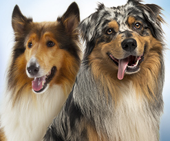 Offre Bitiba