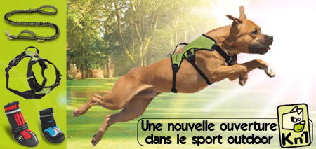 Bénéficiez Code Promo Polytrans