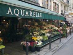 Offre Aquarelle
