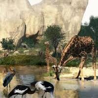 Bénéficiez Code Promo Parc zoologique de paris