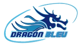 Offre Dragon bleu