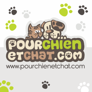 Offre Pourchienetchat