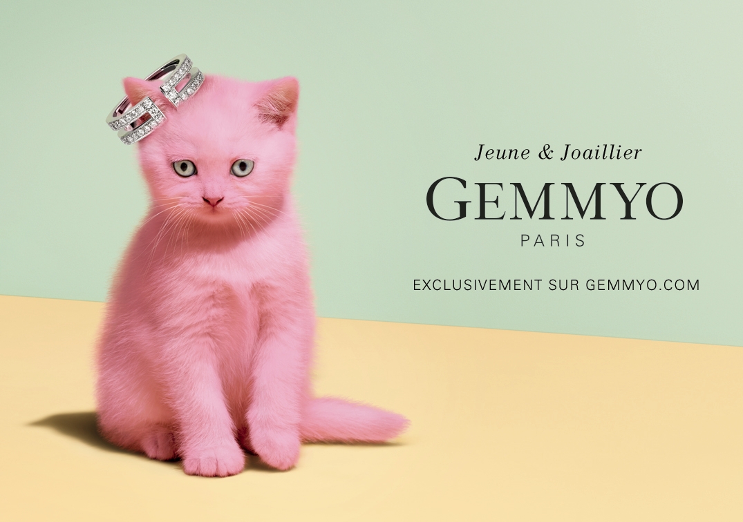 Offre Gemmyo