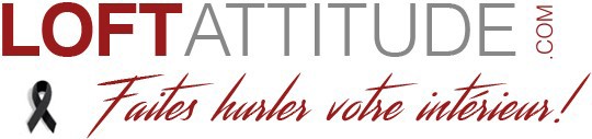 Offre Loft Attitude
