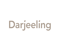 Offre Darjeeling