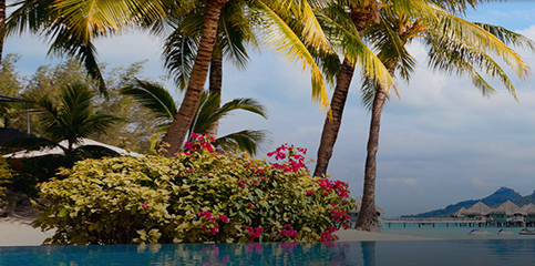 Bénéficiez Code Promo Tripadvisor