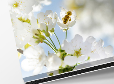 Bénéficiez Code Promo Whitewall