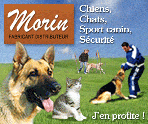Offre Morin