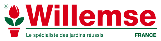 Bénéficiez Code Promo Willemse